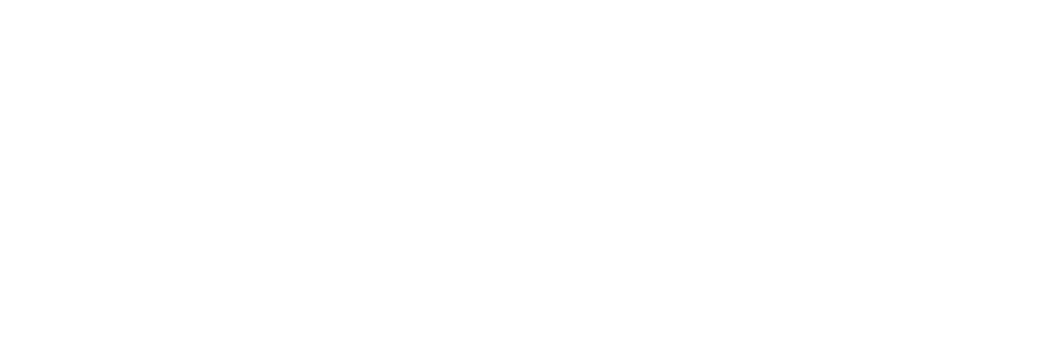 BISC